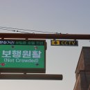 주정차단속-145 이미지