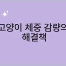 고양동물병원 이미지