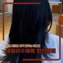쿨 | 안산 고잔동 미용실 추천 데일리수헤어 안산본점 쿨블랙 염색 후기