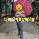 플러피라운지 | 다이소 25년 FW패션 기획전 실착 후기 – 헬로어텀 자수 반집업 상의 &amp; 플리스 조거