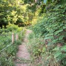 장군봉 등산로 화장실 이미지