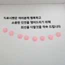대구강아지분양도로시펫