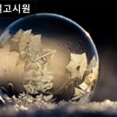 로즈빌고시원