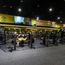 핏-타운 이미지