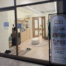 도안유치원 | [대전 도안동] 어린이집, 유치원 졸업사진 내돈내산 후기, 마레스튜디오