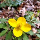 이마당약수터 이미지