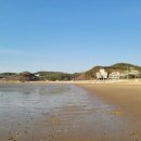 장경리해변 야영장 이미지