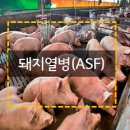 케이원바이오텍 이미지