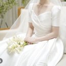 대전 웨딩드레스투어(웨딩컴퍼니엘/아이린/하우스오브에이미/아이니/루아스포사) 겁나 싸돌아다님2탄