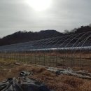 라벤더하우스 이미지