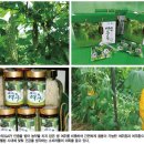 일조농장 이미지