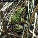 가서농장 이미지