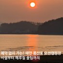 22 | [충남 캠핑] 태안 몽산포 오션캠핑장 솔직 후기, 예약 없는 선착순 캠핑의 묘미!