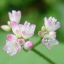 동학산 공원 이미지