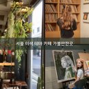 앨리스여행사주 - 중랑구 망우로 371 | 앨리스여행사주