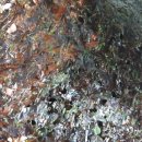 둥근돌김 이미지