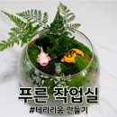 동부초등학교 | [대구/경산] 숲을 초대하다, 푸른 작업실 : 테라리움 경북원데이클래스