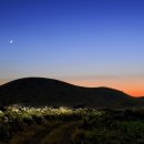 제주토생금공인중개사사무소 이미지