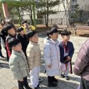 용인대 성민 태권도(반곡관) 이미지