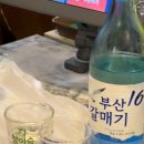 팔딱팔딱도매횟집 | 광안리 가성비 횟집 OK도매횟집 광안리점 솔직후기