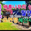 용평동 용호정 이미지