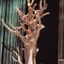 제18회 DIMF 창작지원작 반야귀담 이미지