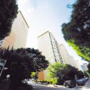 펫갤러리 이미지