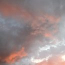 근화목장 이미지