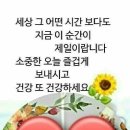 *영상 편지(2024年7月21日*꿈꾸다 가는 인생 이미지