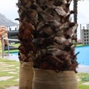 풀빌라, 오롯이 이미지