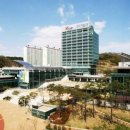 포항시 음식물쓰레기 대행업체 선정 특혜의혹… 경찰조사 시작 이미지