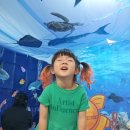 바다 속 이야기 이미지