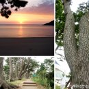 호텔 반월 이미지