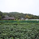 마산리경로당 이미지