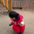 우면산유아숲체험장 네이버블로그