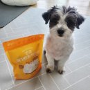 (주)청호씨푸드 이미지