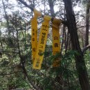 매봉(1) Daum카페