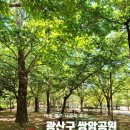 중앙근린공원 서원주초 인근 둘레길 입구 화장실 | [초여름 광산구] 푸릇푸릇한 초여름을 맞이하는 쌍암공원 피크닉 &amp; 산책 추천 장소