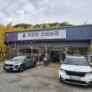 가평잣과일농장