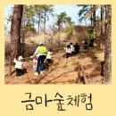 금마어린이집 이미지