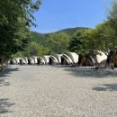 숲속에 머물다 이미지