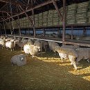 삼사목장 이미지