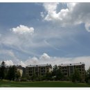 용평 버치힐골프클럽 이미지