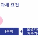 무세대 이미지