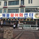페블활어회센타