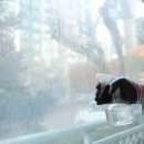 대한 냉열기 이미지