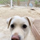 가평펜션 J스테이 이미지