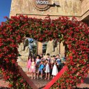 송중태권도 이미지