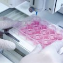 (주)로킷헬스케어 이미지