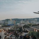 중앙로 메타세콰이아길 이미지